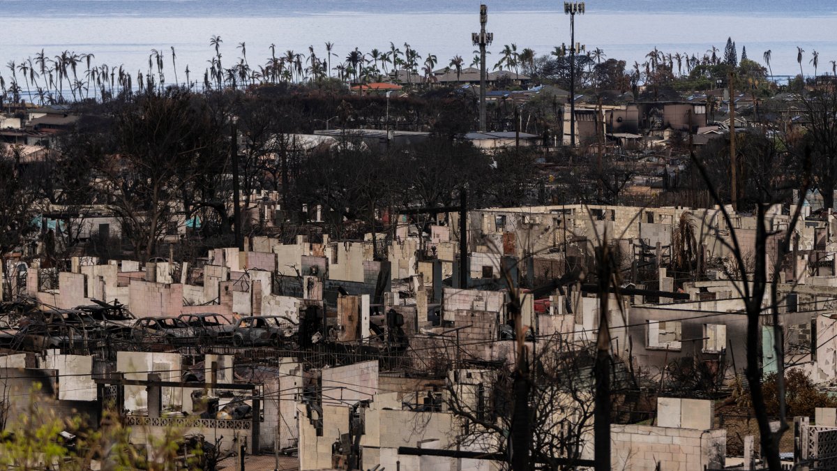 Maui sues cell carriers over wildfire warnings never received – NBC4 Washington - Vimarsana News