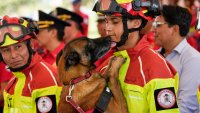 Firefighter dogs who rescued people from natural disasters are honored in Ecuador as they retire