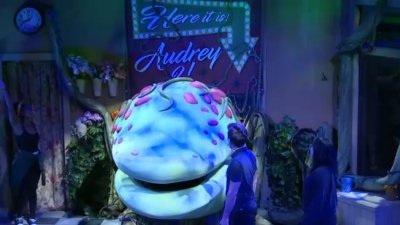 Ford's Theatre prepares sensory-friendly performance of ‘Little Shop of Horrors'