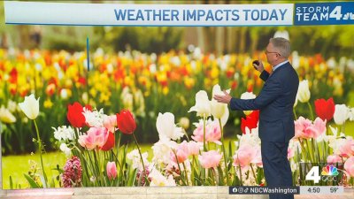 Morning weather, May 16