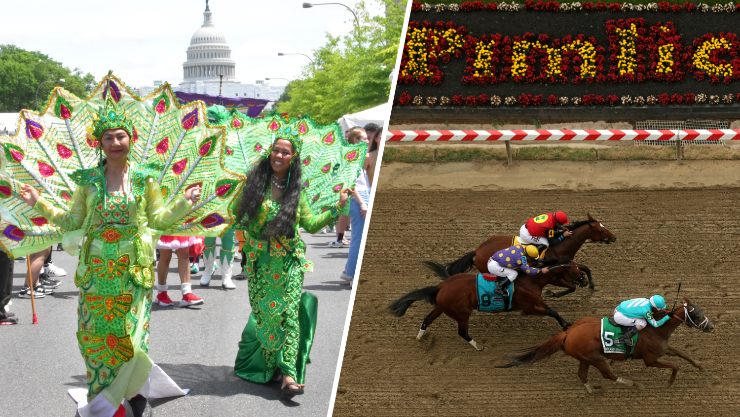 The Weekend Scene: 15+ things to do in the DC area May 17-19 – NBC4 Washington - Vimarsana News