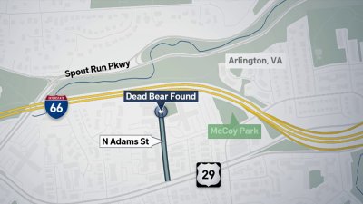 Black bear found dead in plastic bag in Arlington