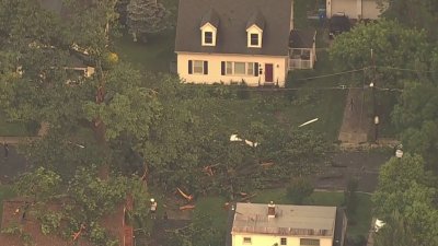 ‘Be safe': Montgomery Co. official shares storm damage info and cleanup tips