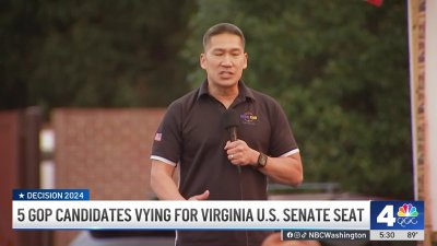 5 GOP candidates vying for Virginia U.S. Senate seat