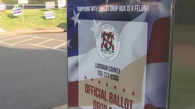 Virginians share why they're voting in primary elections