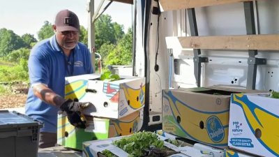 Clagett Farm aims to end food insecurity