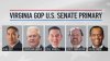 5 Republicans face off Tuesday to earn the nomination against Va. Sen. Tim Kaine. Here are the candidates