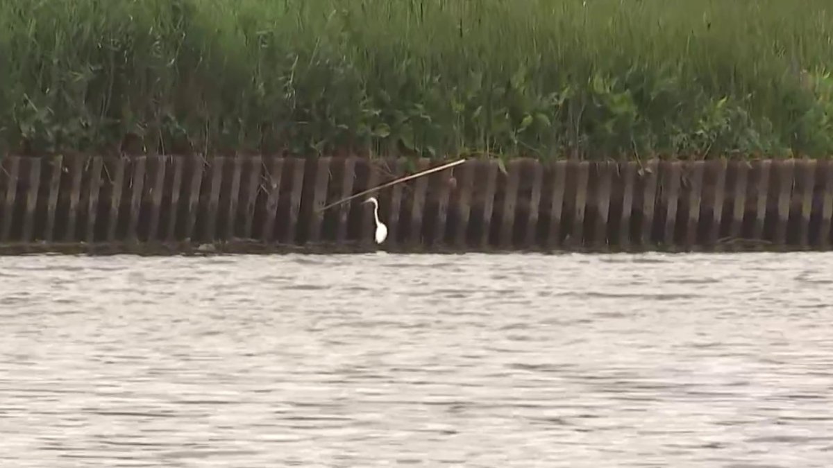 Anacostia River Splash swim postponed until July after water testing ...