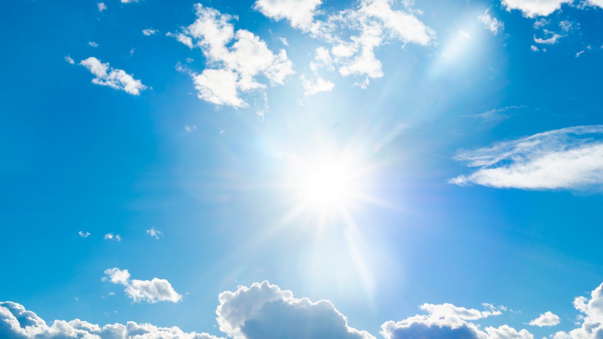 How to stay cool and safe as a heat wave hits the DC area NBC4 Washington