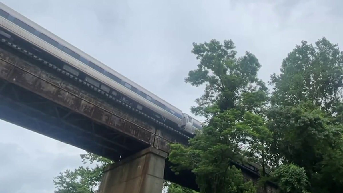 Man, woman and 8yearold killed on train tracks in Springfield NBC4