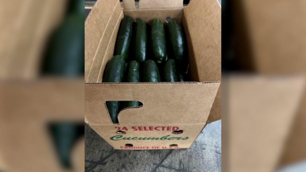 Cucumbers recalled in 14 states over salmonella concerns NBC4 Washington