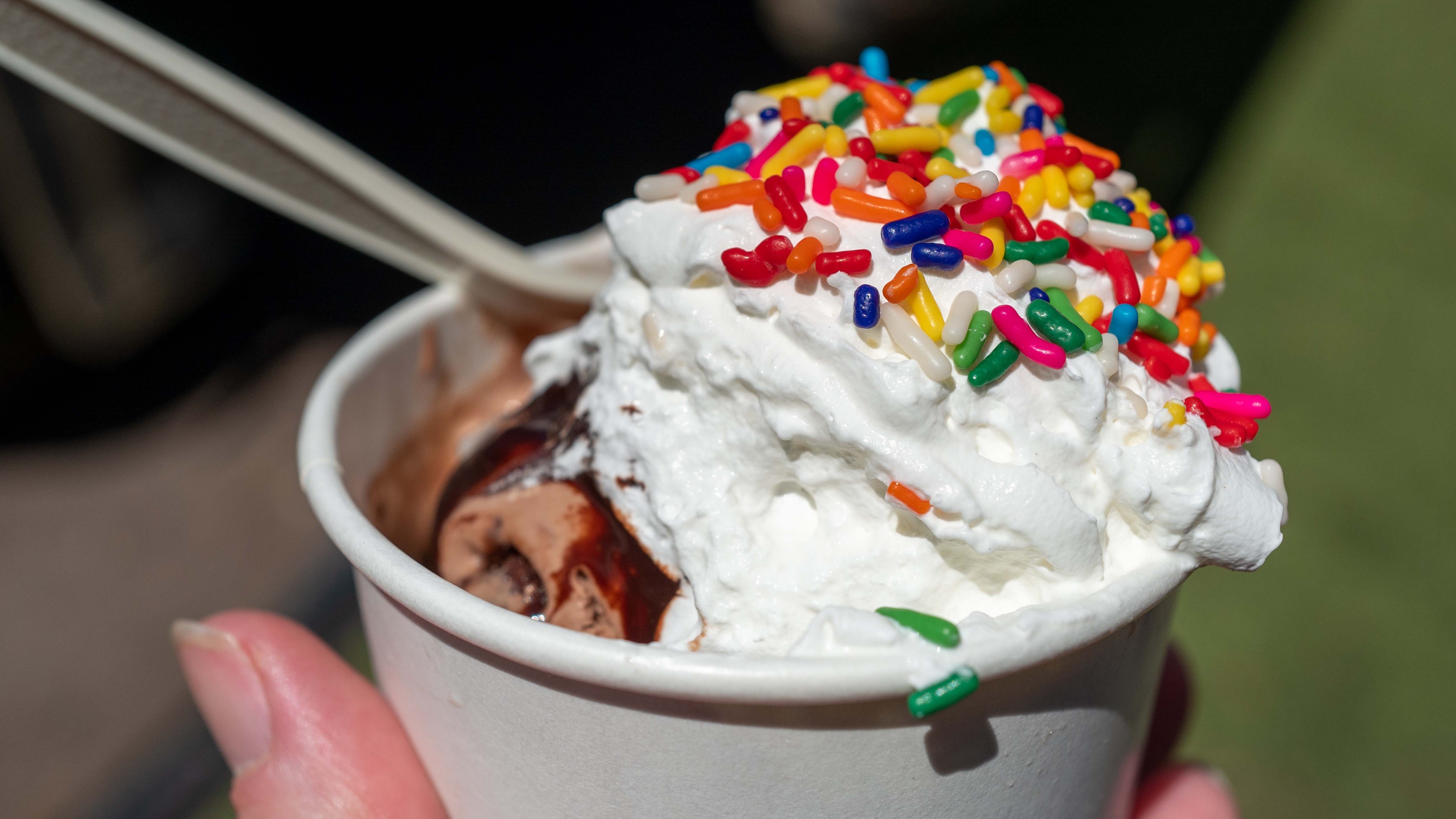 Garlic? Curry? Cold sweat?! Strange ice cream flavors are sweeping the nation this summer
