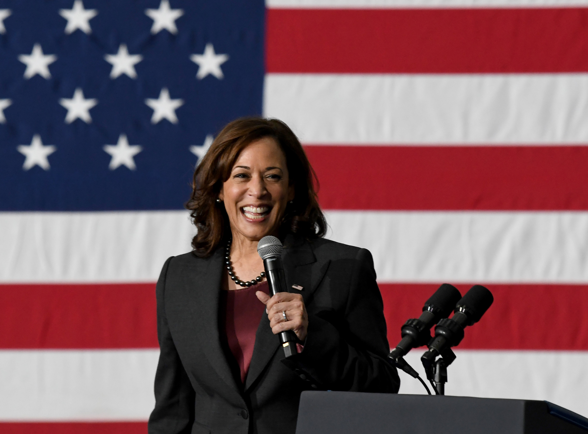 What do coconut trees have to do with Kamala Harris? – NBC4 Washington