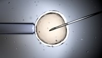 Everything you need to know about IVF