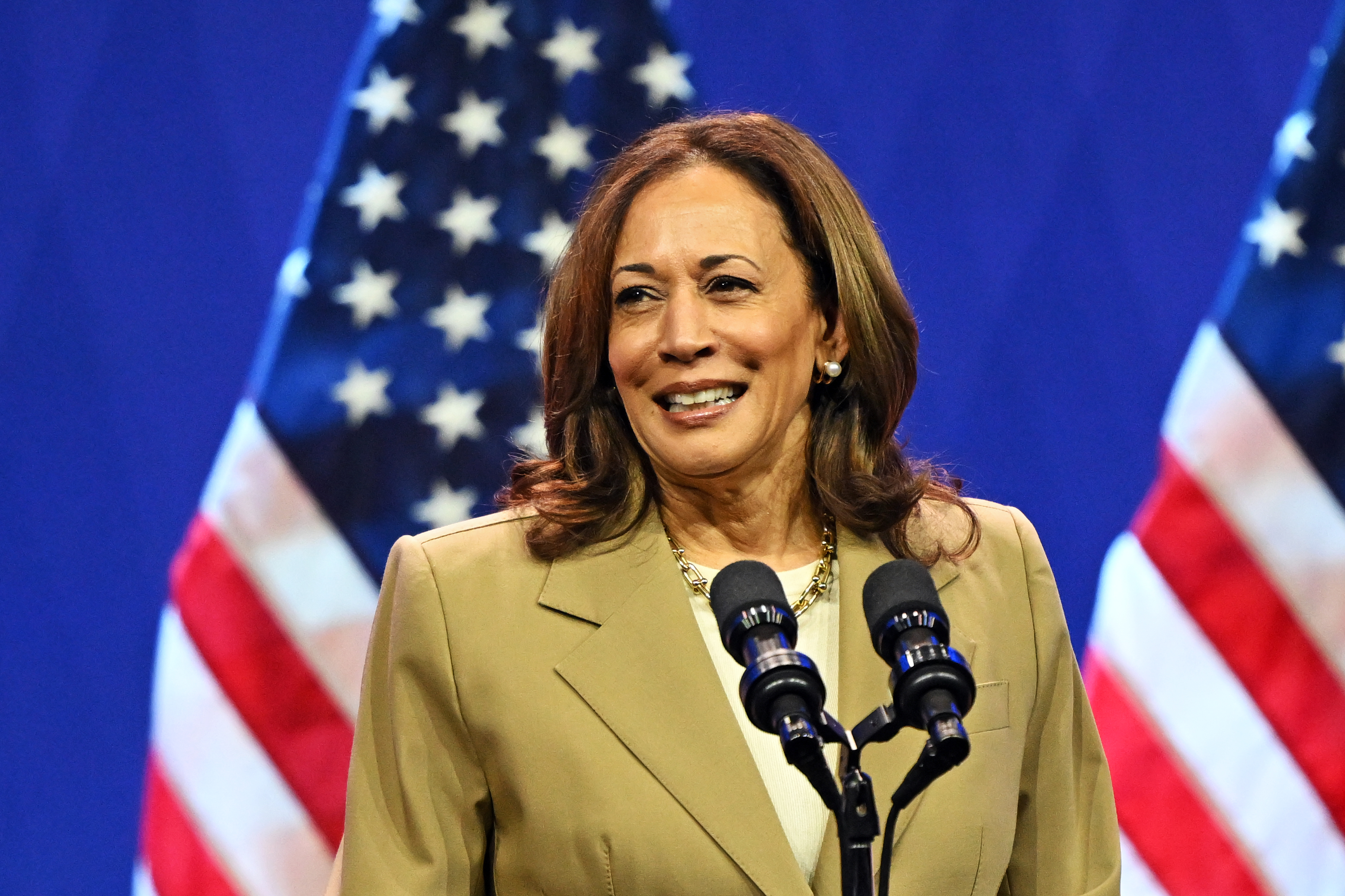 Harris gets to work to become Democratic nominee for president after Biden withdraws