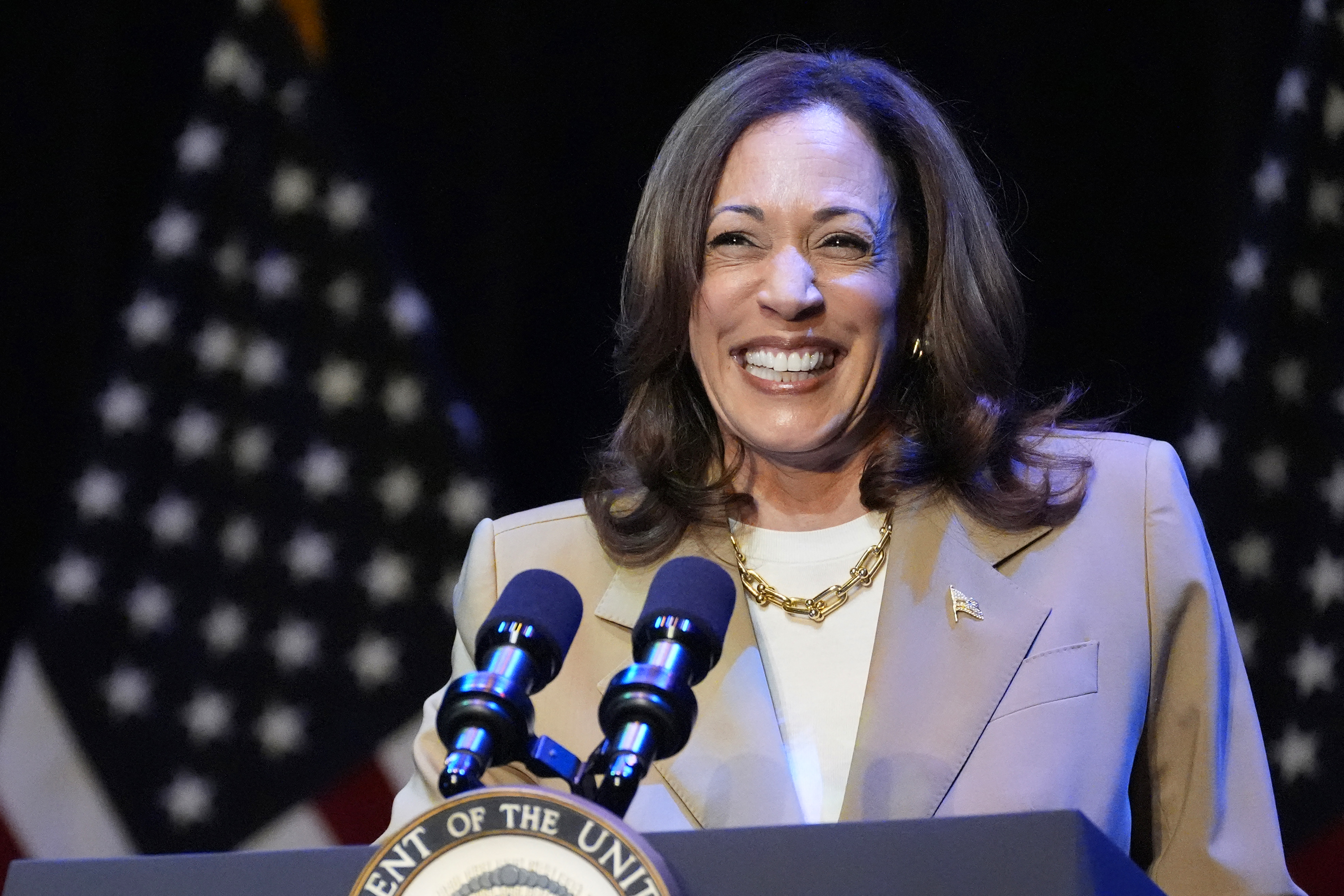‘Gen Z feels the Kamalove': Youth-led progressive groups hope Harris will energize young voters