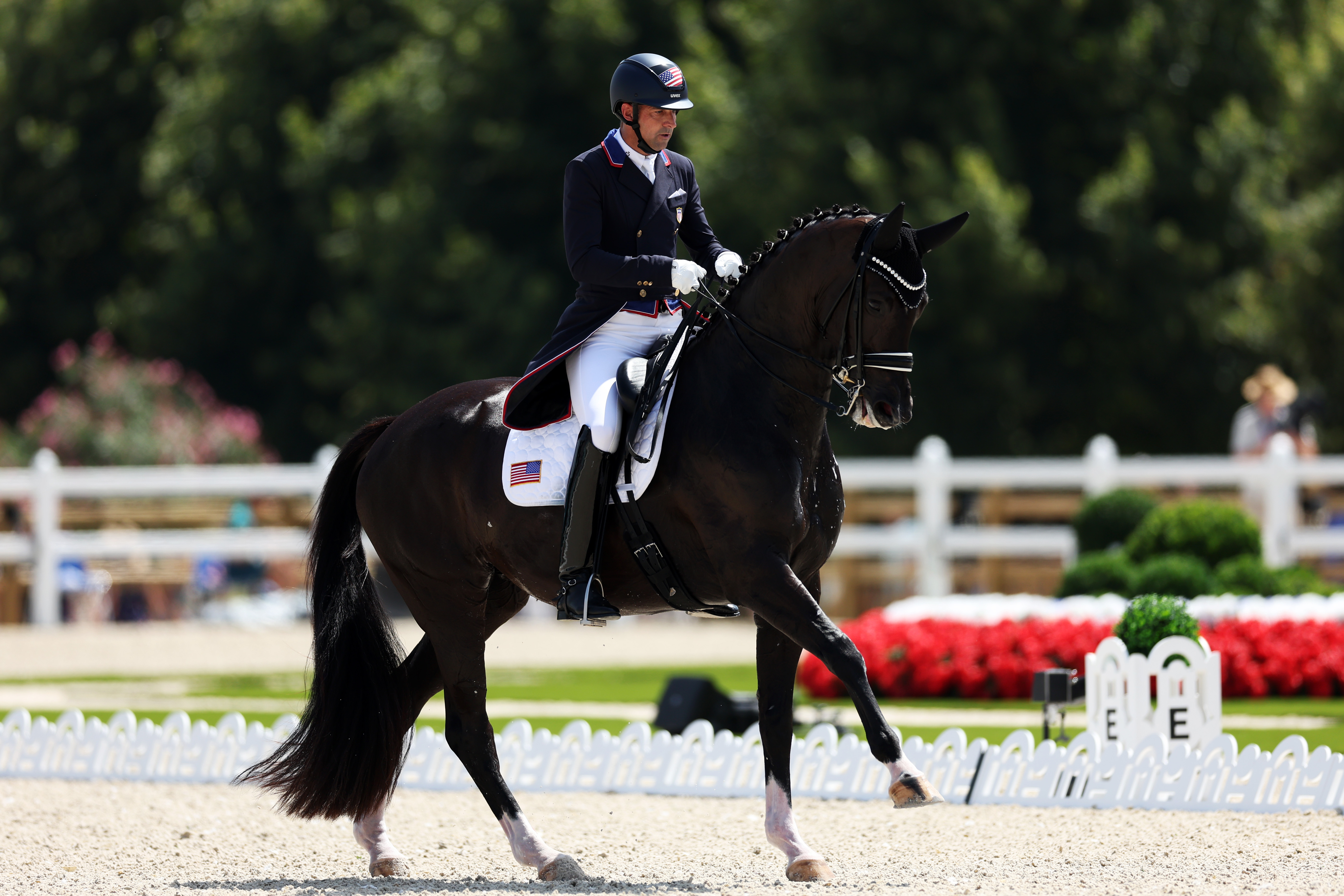 Team USA eliminated from Olympic dressage after horse displays blood on leg