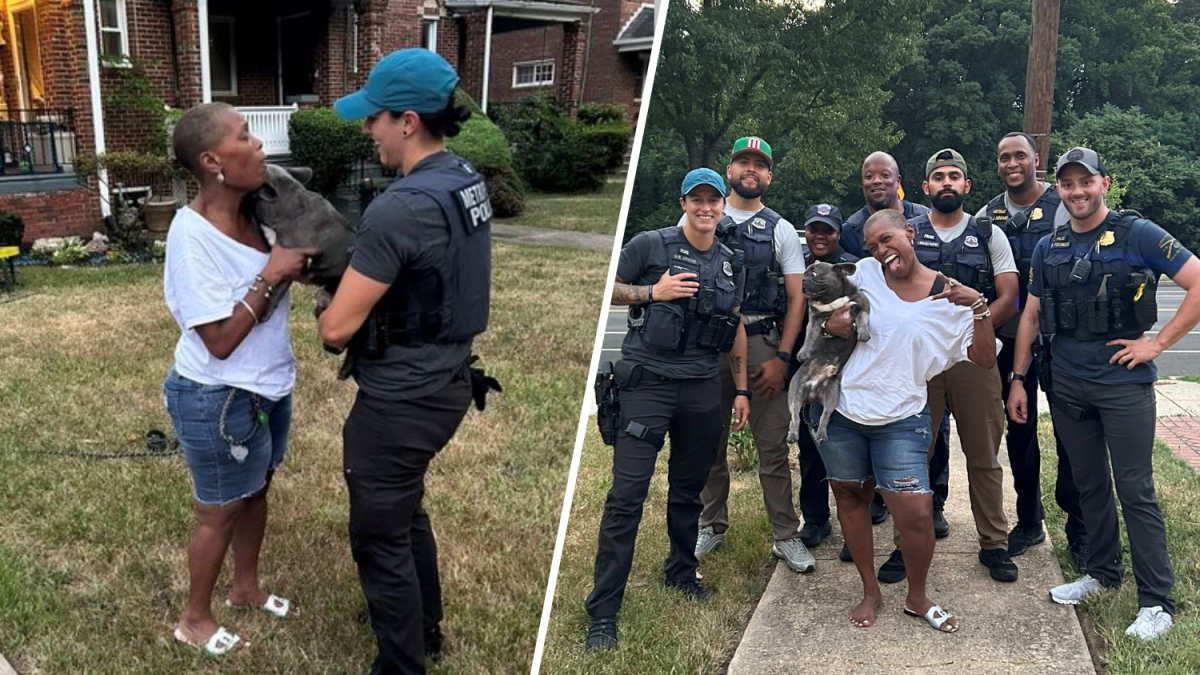 Woman reunited with dog stolen at gunpoint in Southeast DC NBC4 Washington