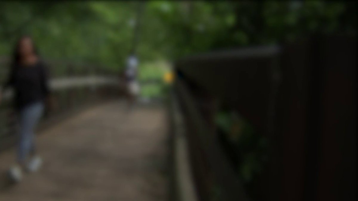 Half a dozen outbreaks of excitement occurred in Sligo Creek Park last month – NBC4 Washington