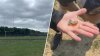 ‘Unplayable': Soil full of broken glass spread over Maryland school football field