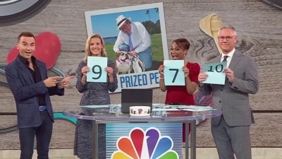 News4 has chosen finalists for Pat's Prized Pets challenge