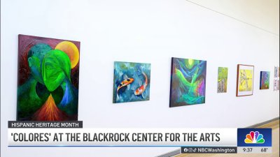 ‘Colores' at the BlackRock Center for the Arts celebrates Latin artists