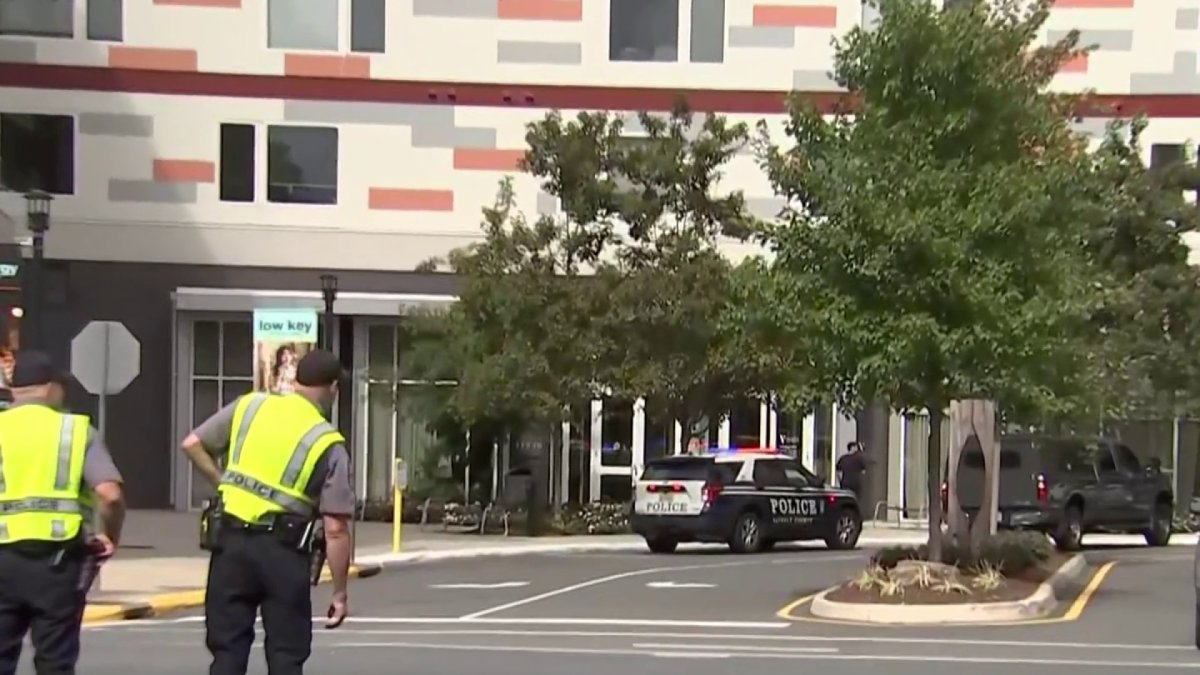 2 hurt in Reston shooting involving police – NBC4 Washington