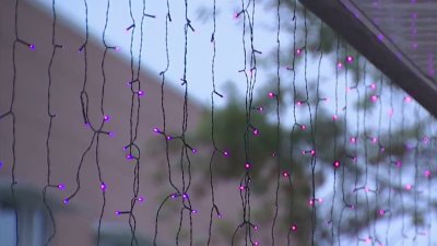 Purple Light Nights show solidarity with domestic violence victims, survivors