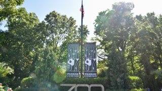 WASHINGTON, DC – MAY 29: Posters reading ‘Pandas Coming’ hang at the entrance of Smithsonian’s National Zoo on May 29, 2024 in Washington, DC. China will send two young giant pandas Bao Li and Qing Bao to Washington by the end of year. (Photo by Sha Hanting/China News Service/VCG via Getty Images)