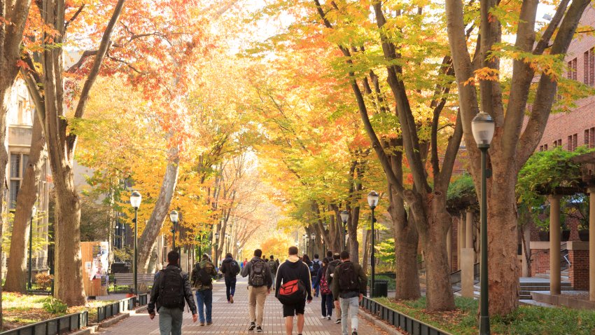 Locust Walk with students in fall, University of Pennsylvania, University City area, Philadelphia, PA, USA