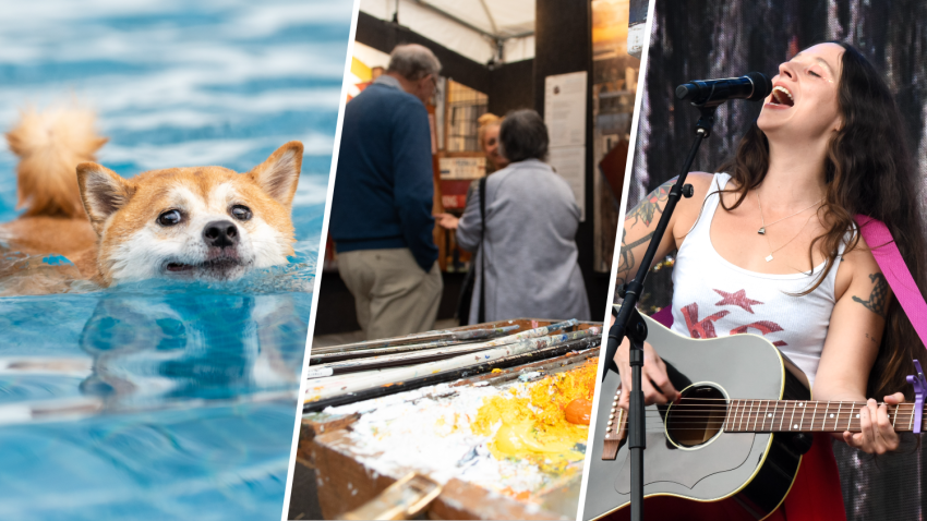 Many pools are letting dogs jump in to celebrate the end of summer. Plus, the Bethesda Row Arts Festival returns this Sept. 7-8 and Waxahatchee is set to perform at Wolf Trap on Sept. 6.