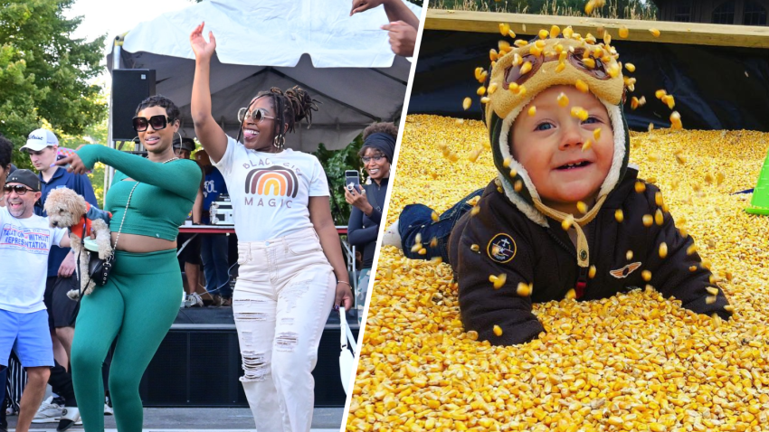 H Street Festival and fall fun at the Maryland Corn Maze are two fun ways to spend the weekend of Sept. 20-22 in the Washington, D.C., area.