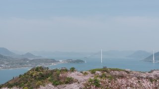 Cherry blossoms and Shimanami Kaido in the distance.