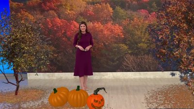 Storm Team4's fall foliage forecast