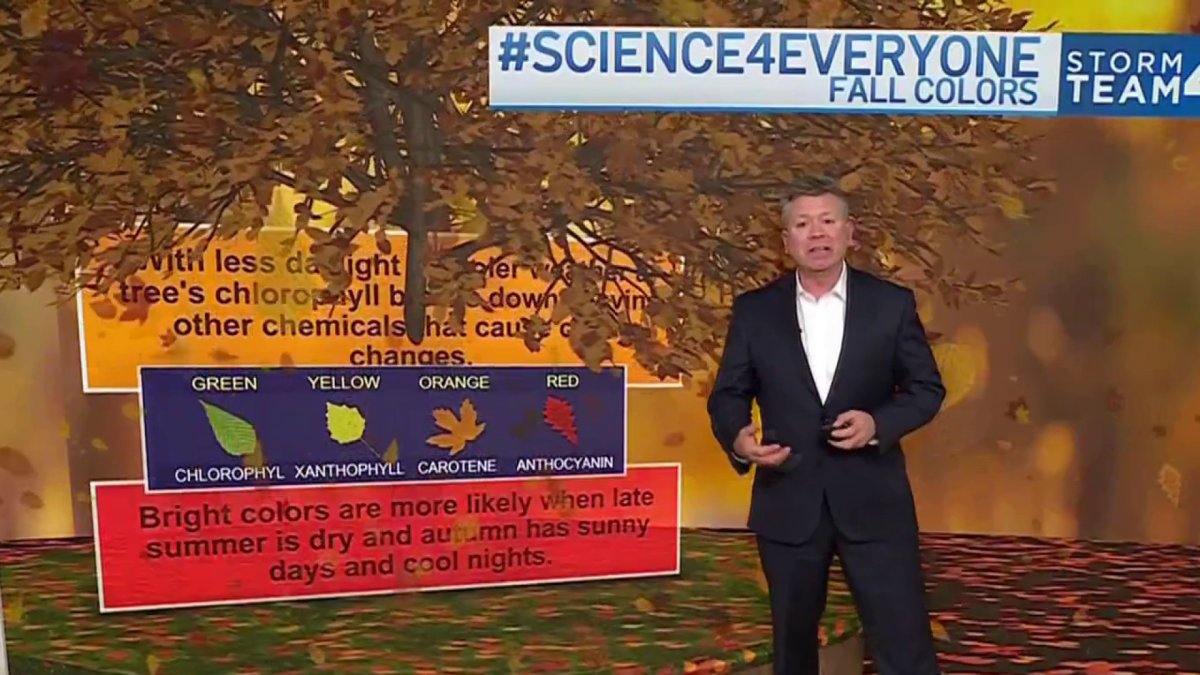 Fall Color Change Science Science 4 Everyone: Why do leaves change color in the fall? – NBC4 ...