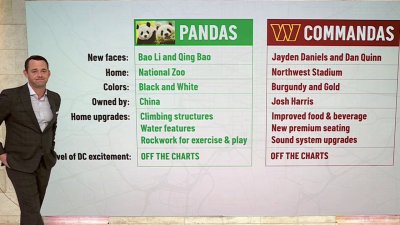 Pandas and Commandas: Comparing pandas' return to Commanders' success