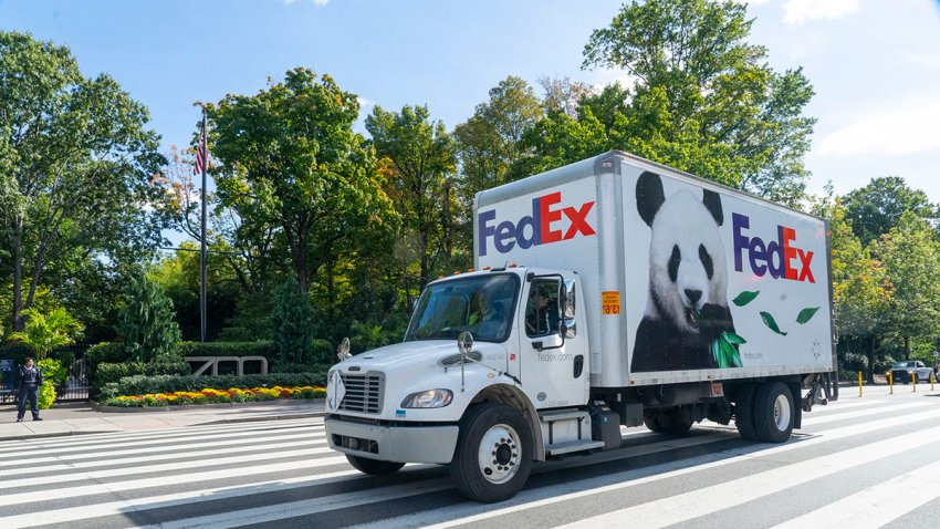 A pair of 3-year-old giant pandas is settling in at the National Zoo.