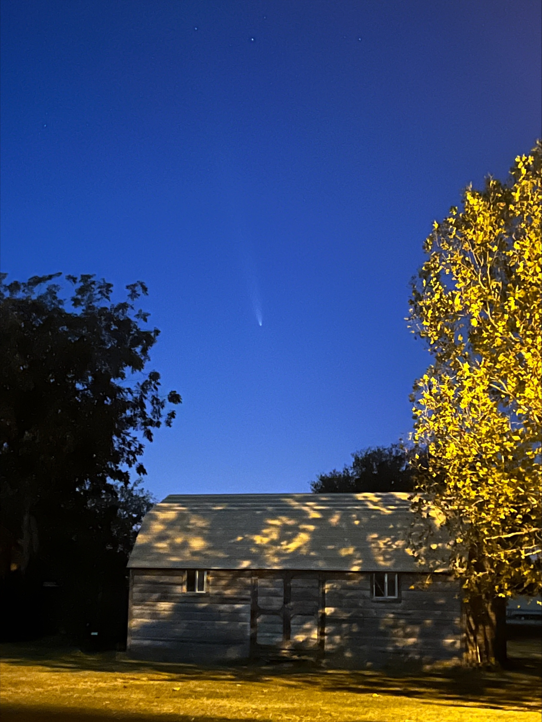 Both pics taken on 10/14/24 in Dublin, TX.