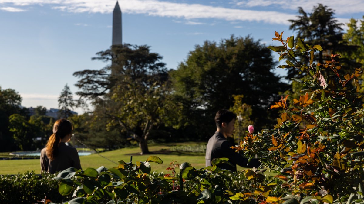 White House gardens to open for fall tours this weekend NBC4 Washington