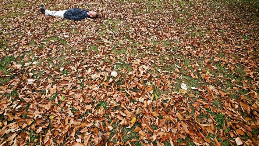 An unidentified man relaxes on grass of Lafayette Park covered with Fall leaves across the street from the White House 14 November 2006 in Washington, DC. (Photo by PAUL J. RICHARDS / AFP) (Photo by PAUL J. RICHARDS/AFP via Getty Images)