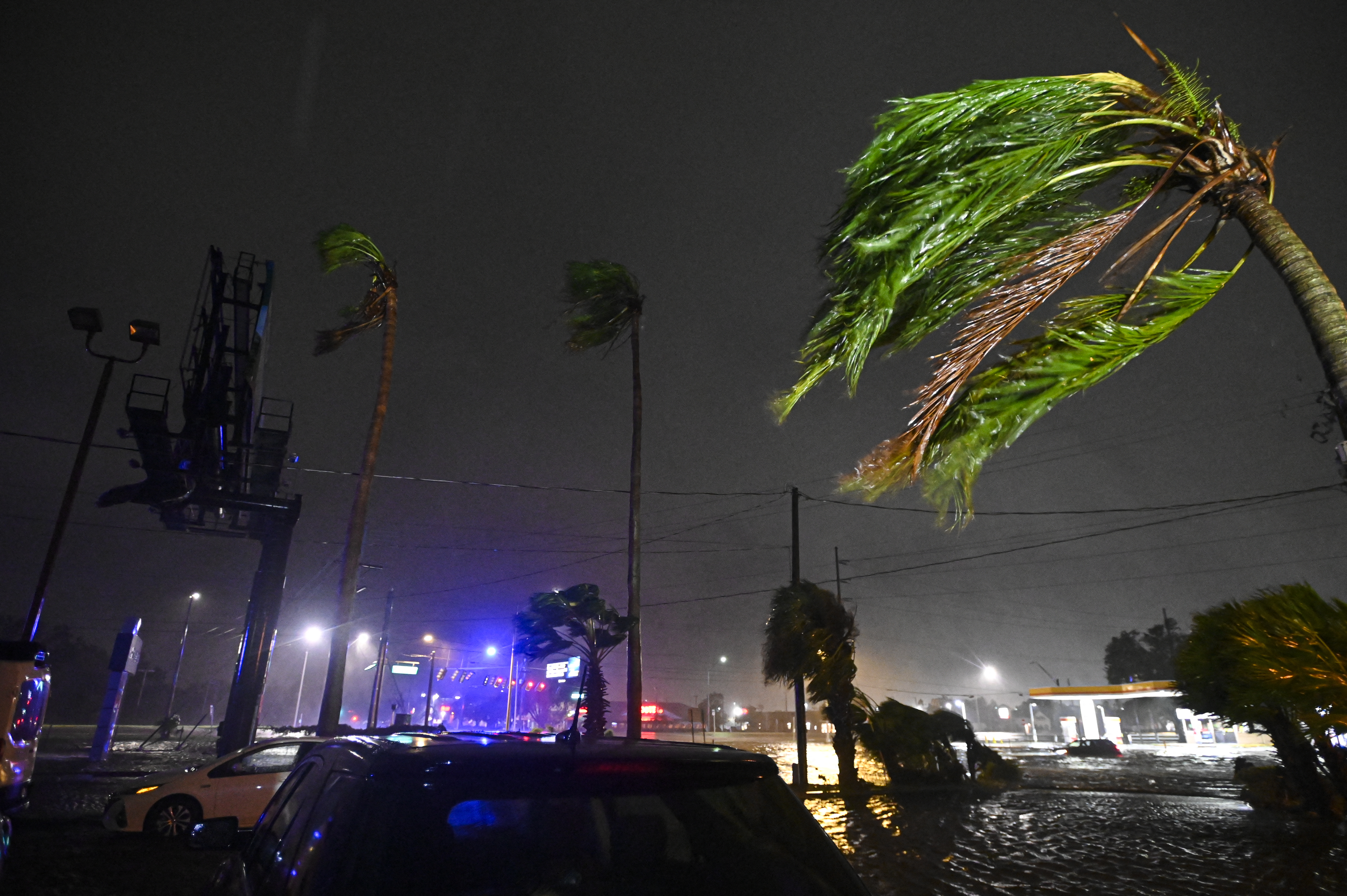 Palm trees bend in the wind after Hurricane Milton made landfall in Brandon, Florida on October 9, 2024.