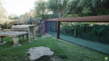 A view of the outdoor area of the National Zoo's panda enclosure.