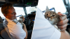 Pilot adopts kitten while flying pets to safety after Hurricanes Milton and Helene