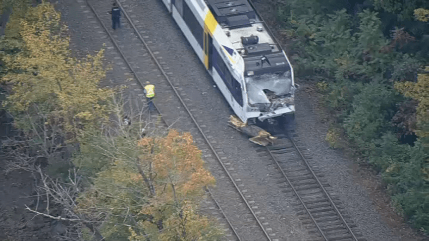 nj transit train tree