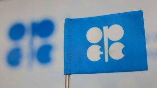 A view shows the logo of Organization of the Petroleum Exporting Countries (OPEC) during the United Nations climate change conference COP29, in Baku, Azerbaijan November 13, 2024.