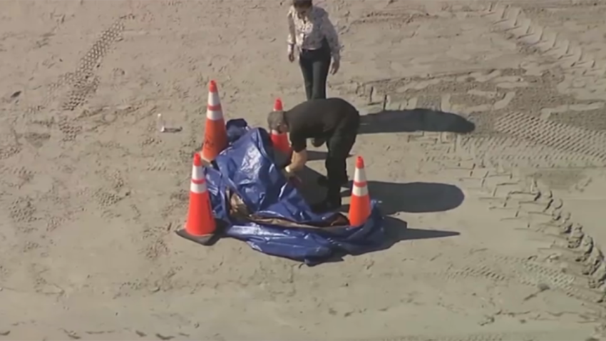 Police respond after a human head washes ashore on Key Biscayne.