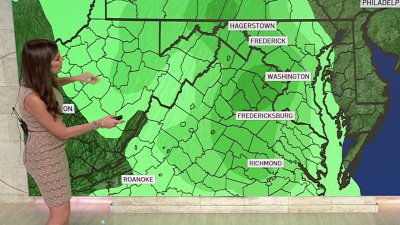 Storm Team4 midday forecast: Nov. 11, 2024