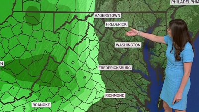 Midday Weather: Nov. 12, 2024