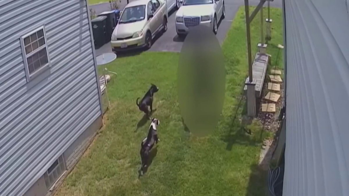 Dogs attack about 2 people in DC every day. Why cases can be hard to investigate