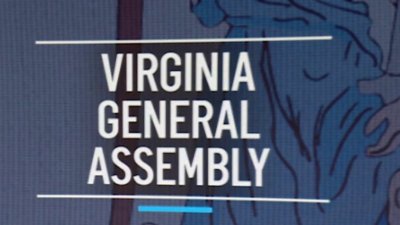 Loudoun County holds special election to fill Subramanyam's seat